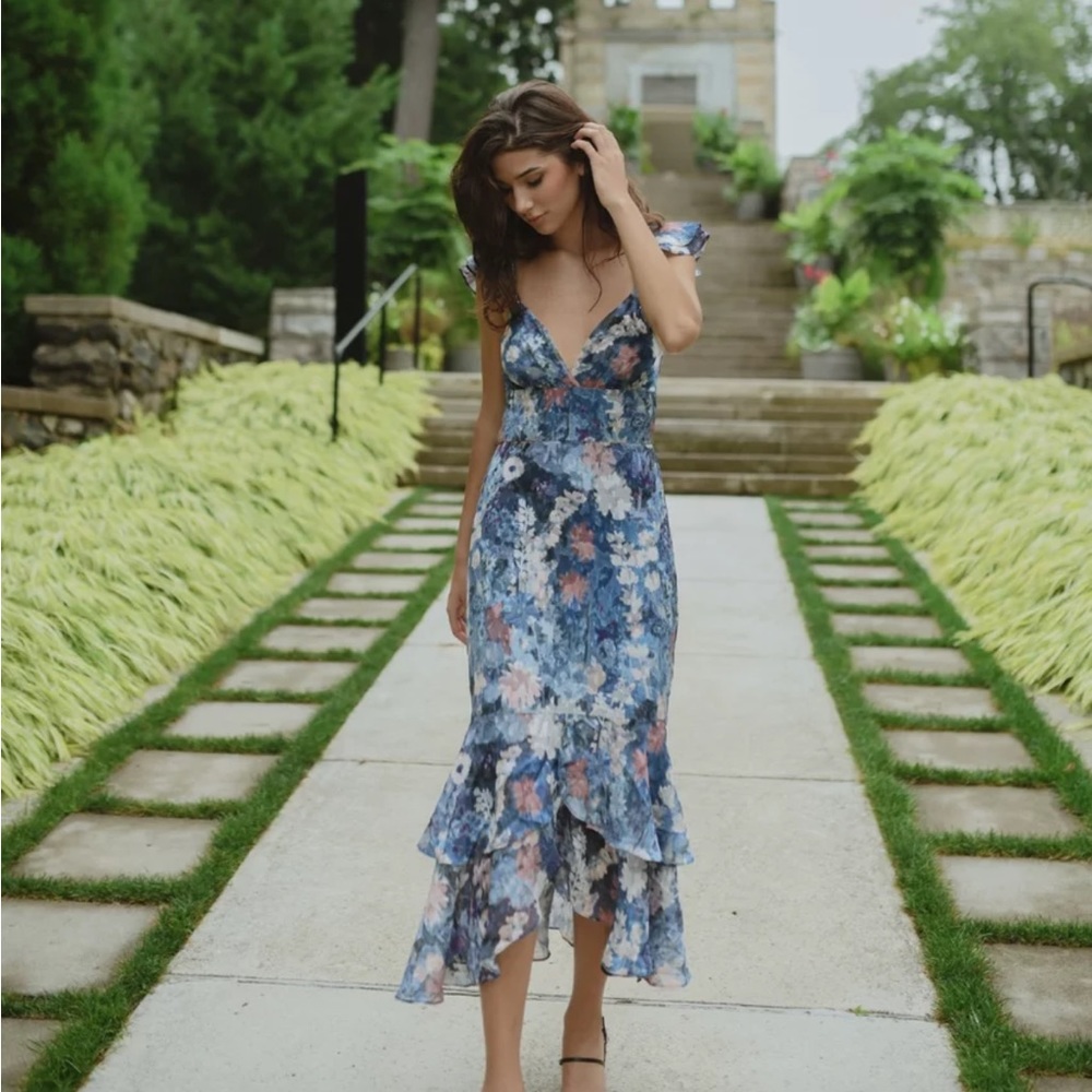 Anthropologie x Hutch Coley Ruffle Midi Blue Floral Dress. Size 4